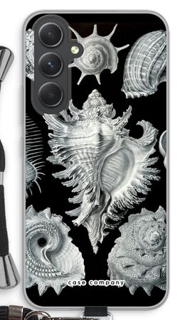 Haeckel Prosobranchia