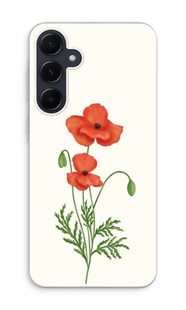 Red poppy