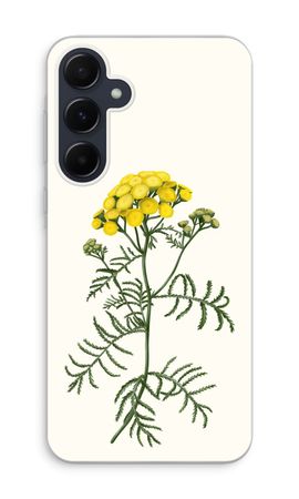Tansy