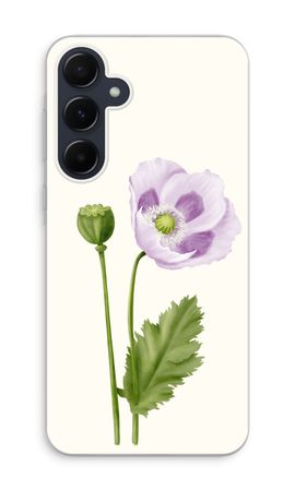 Purple poppy