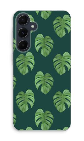 Monstera leaves