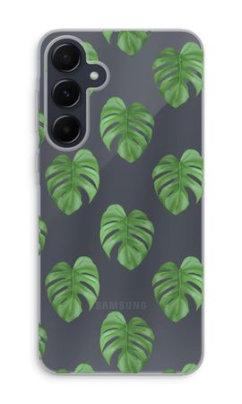 Monstera leaves
