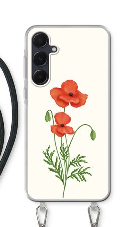 Red poppy
