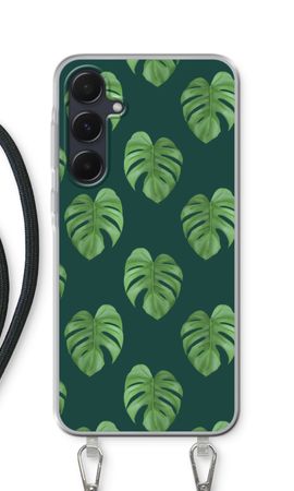 Monstera leaves