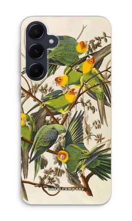 Carolina Parrot