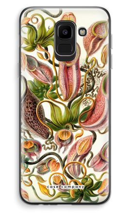 Haeckel Nepenthaceae