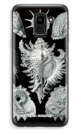 Haeckel Prosobranchia