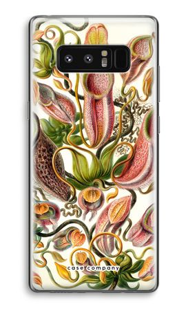 Haeckel Nepenthaceae