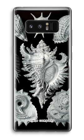 Haeckel Prosobranchia