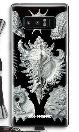 Haeckel Prosobranchia