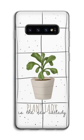 Houseplant on windowpane