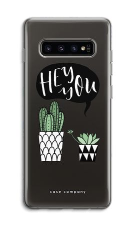 Hey you cactus