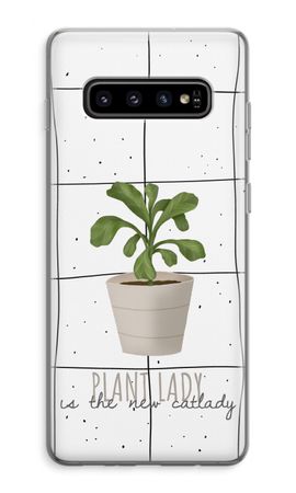 Houseplant on windowpane