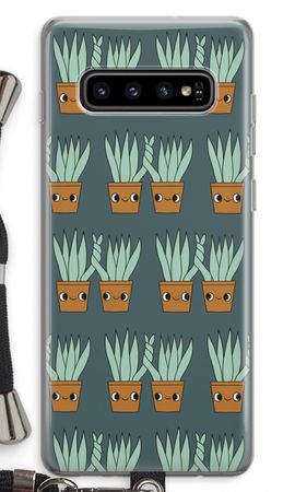 Sansevieria