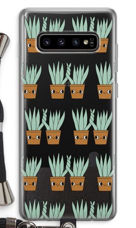 Sansevieria