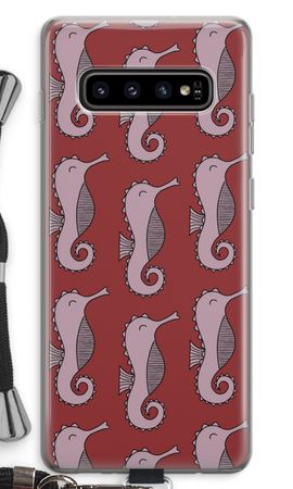 Cavalli marini
