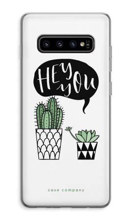 Hey you cactus