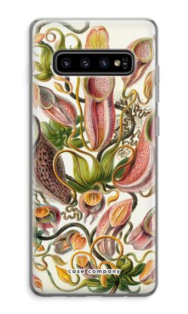 Haeckel Nepenthaceae