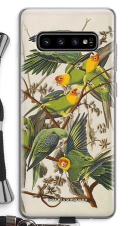 Carolina Parrot