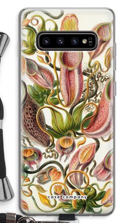 Haeckel Nepenthaceae