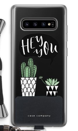 Hey you cactus
