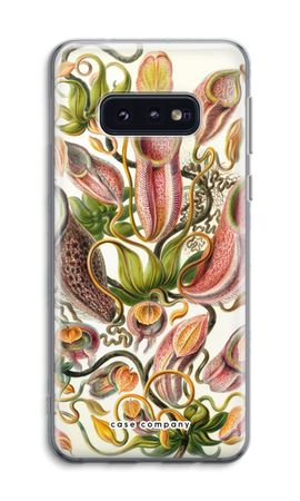 Haeckel Nepenthaceae