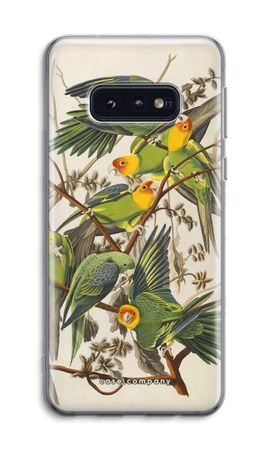 Carolina Parrot