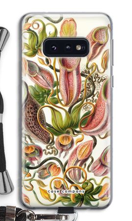 Haeckel Nepenthaceae