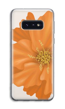 Orange Ellila flower