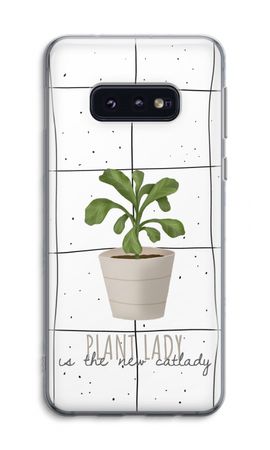 Houseplant on windowpane