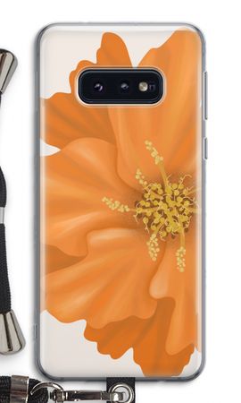 Orange Ellila flower