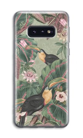 Tropical jungle toucan