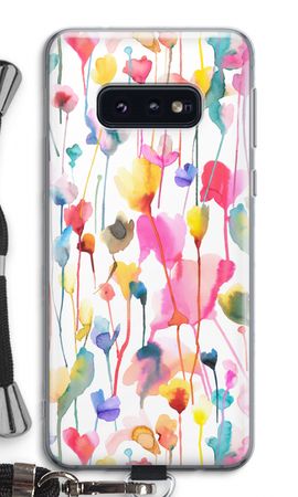 Wild Colorful Flowers