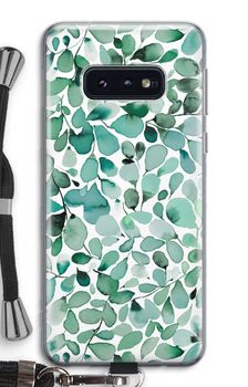 Eucalyptus à feuilles