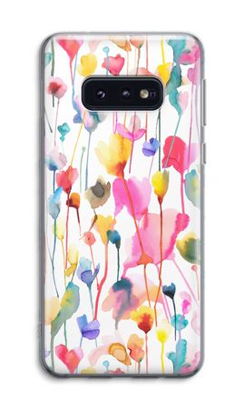 Wild Colorful Flowers