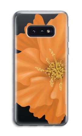 Orange Ellila flower