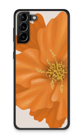 Orange Ellila flower