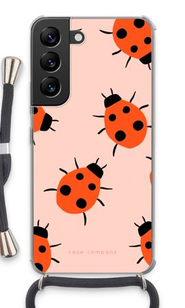 Ladybugs