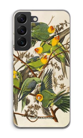 Carolina Parrot