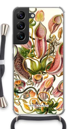 Haeckel Nepenthaceae