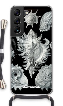 Haeckel Prosobranchia