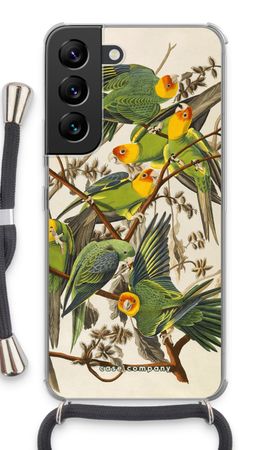 Carolina Parrot