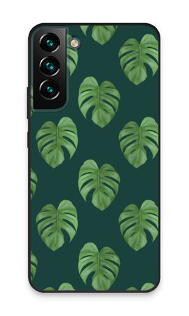 Monstera leaves