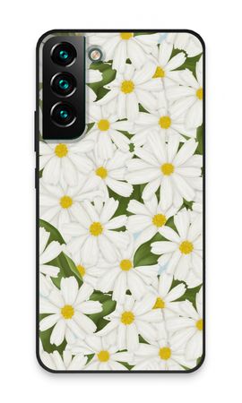 Summer Daisies
