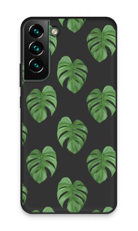 Monstera leaves