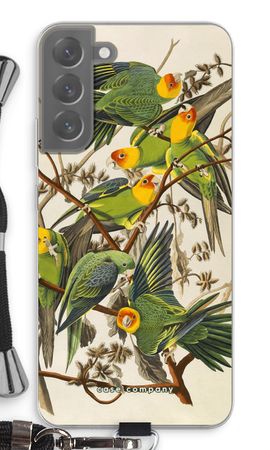 Carolina Parrot