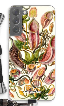 Haeckel Nepenthaceae