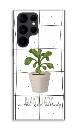 Houseplant on windowpane