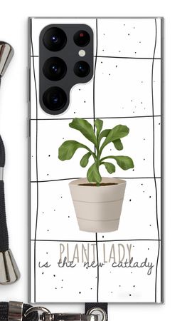 Houseplant on windowpane