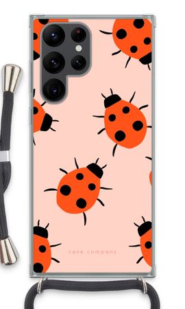 Ladybugs
